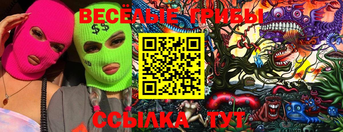 Псилоцибиновые грибы Psilocybe  Вход с VPN  Муравленко 