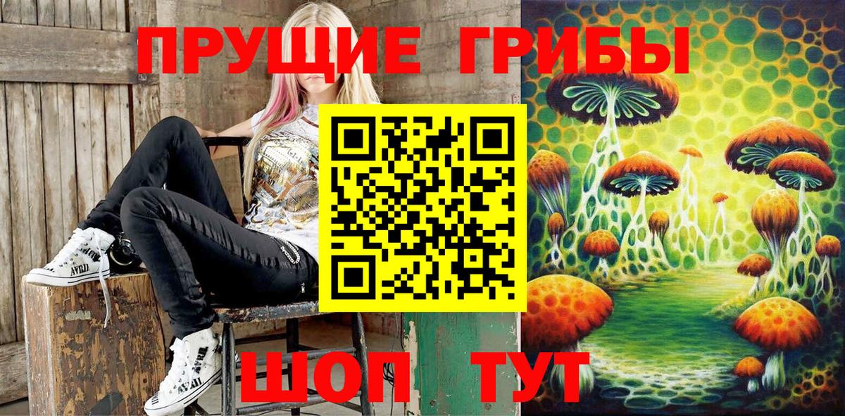 Галлюциногенные грибы Psilocybe Муравленко
